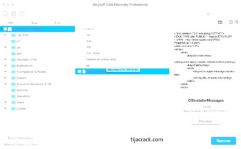 ibeesoft data recovery full version