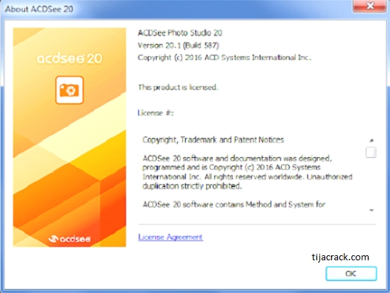 Acdsee pro 10 что это