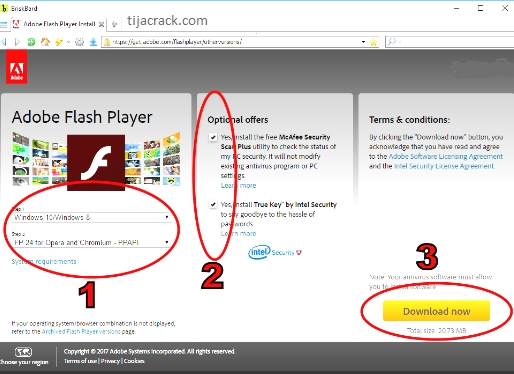 Adobe Flash Player Crack