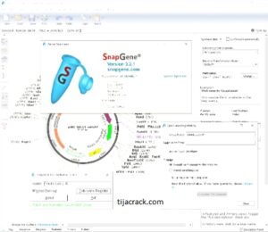 snapgene free download