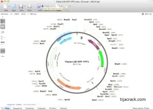 snapgene alternative