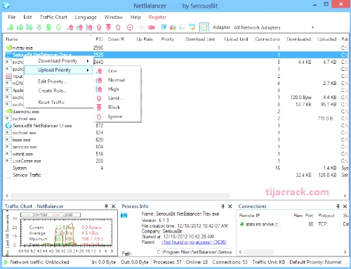 NetBalancer 12.0.1.3507 download the new version for mac