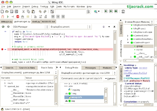 crack license key debugger