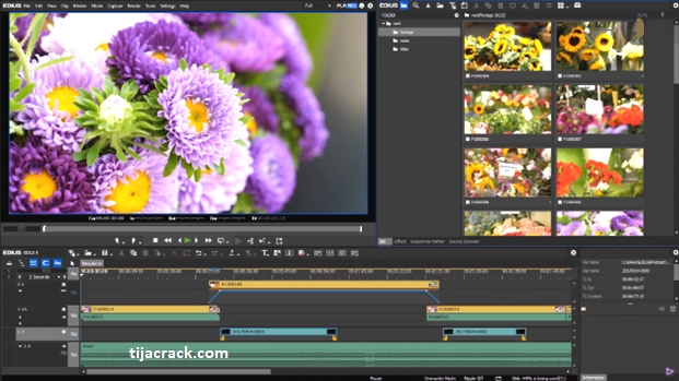 EDIUS Pro Crack