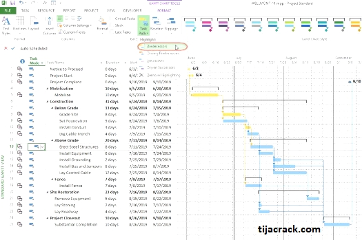 Microsoft Project Crack