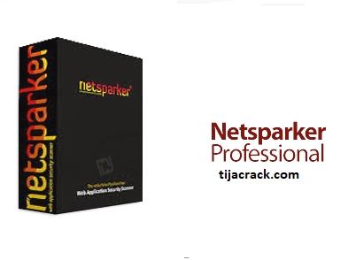 Netsparker Professional Crack