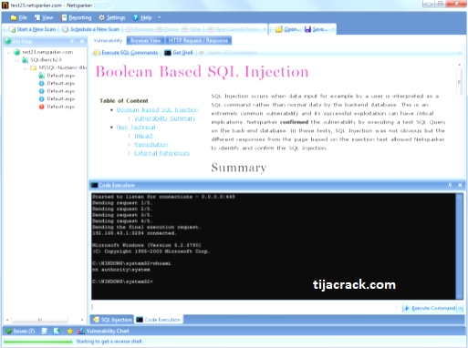 Netsparker Professional Crack
