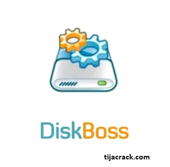 DiskBoss Crack