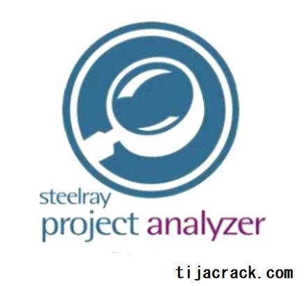 Steelray Project Analyzer Crack