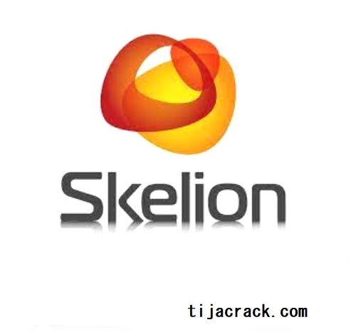 Skelion Pro Crack