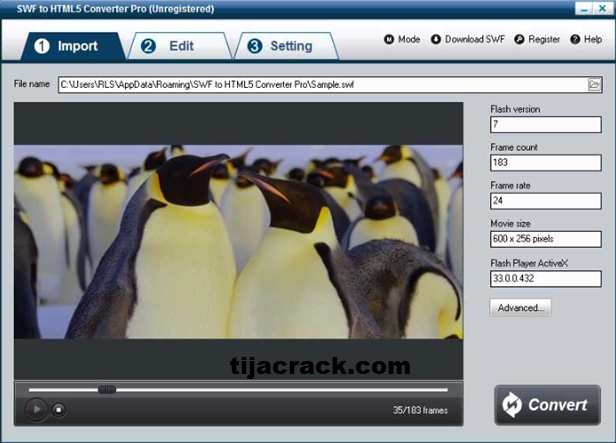 ThunderSoft Flash To Video Converter Crack