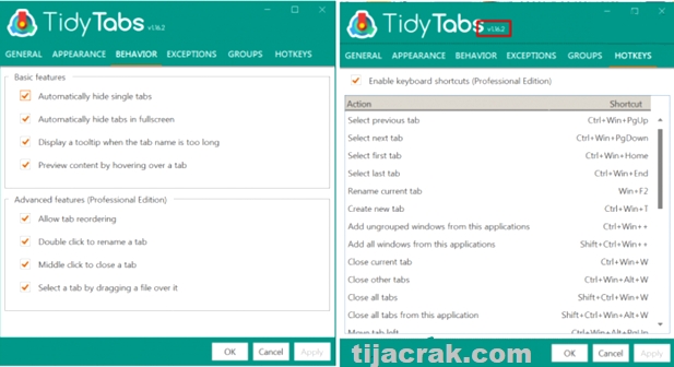 TidyTabs Professional Crack