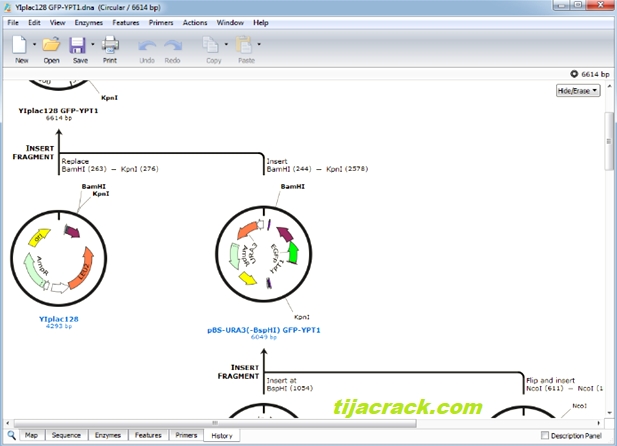 GSL Biotech SnapGene Crack