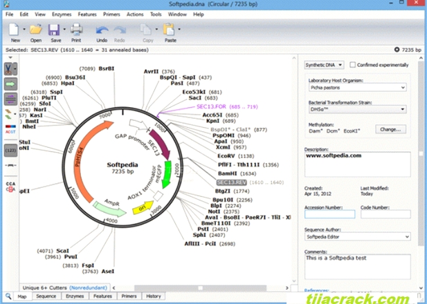 GSL Biotech SnapGene Crack