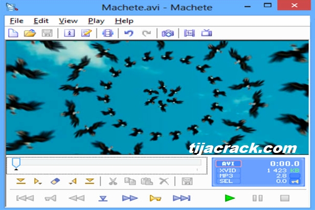 MacheteSoft Machete Crack