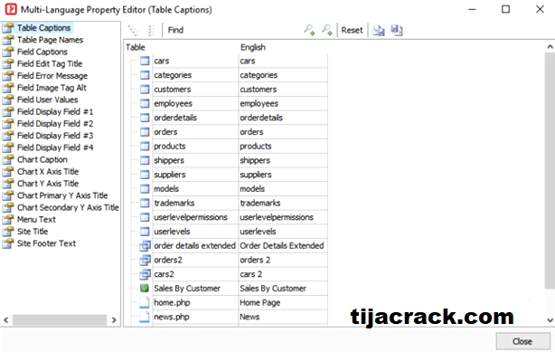 e-World Tech PHP Report Maker Crack