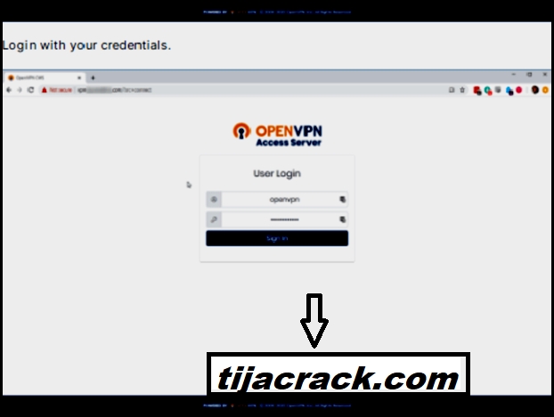 OpenVPN Crack